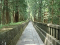Nikko